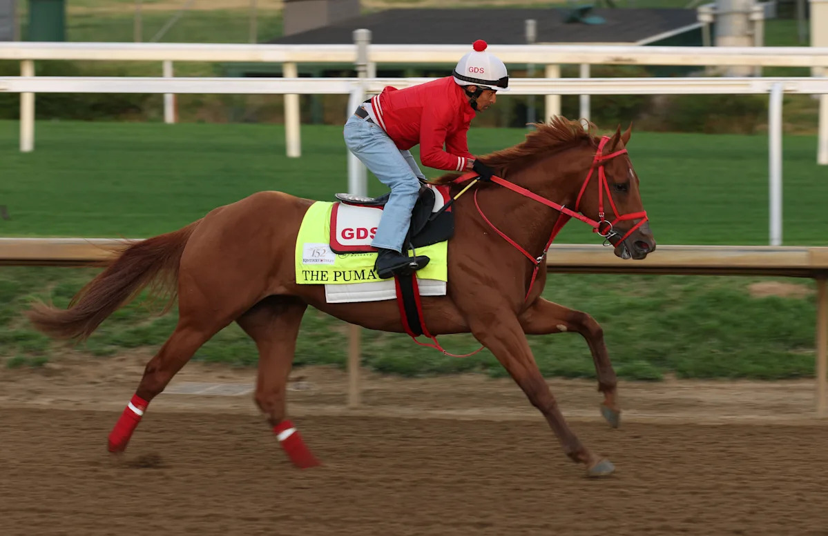 Derby de Kentucky: Puma se rascó por hinchazón en las piernas
