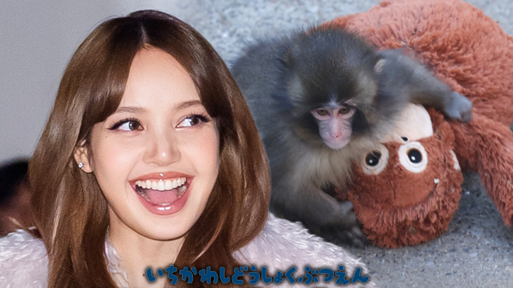 LISA DE BLACKPINK visita a Punch the Monkey y trae un animal de peluche de orangután