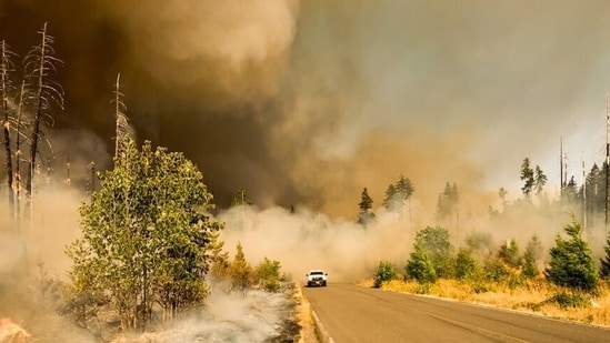 el_monte_fire_1782072520822_1782072520936_3aa22954-ac91-47c2-8631-0445e3ee21fe.jpg