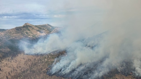 ¿Un incendio en Reno, Nevada hoy? El humo del incendio Elephant genera temores entre los residentes; aparecen videos de miedo