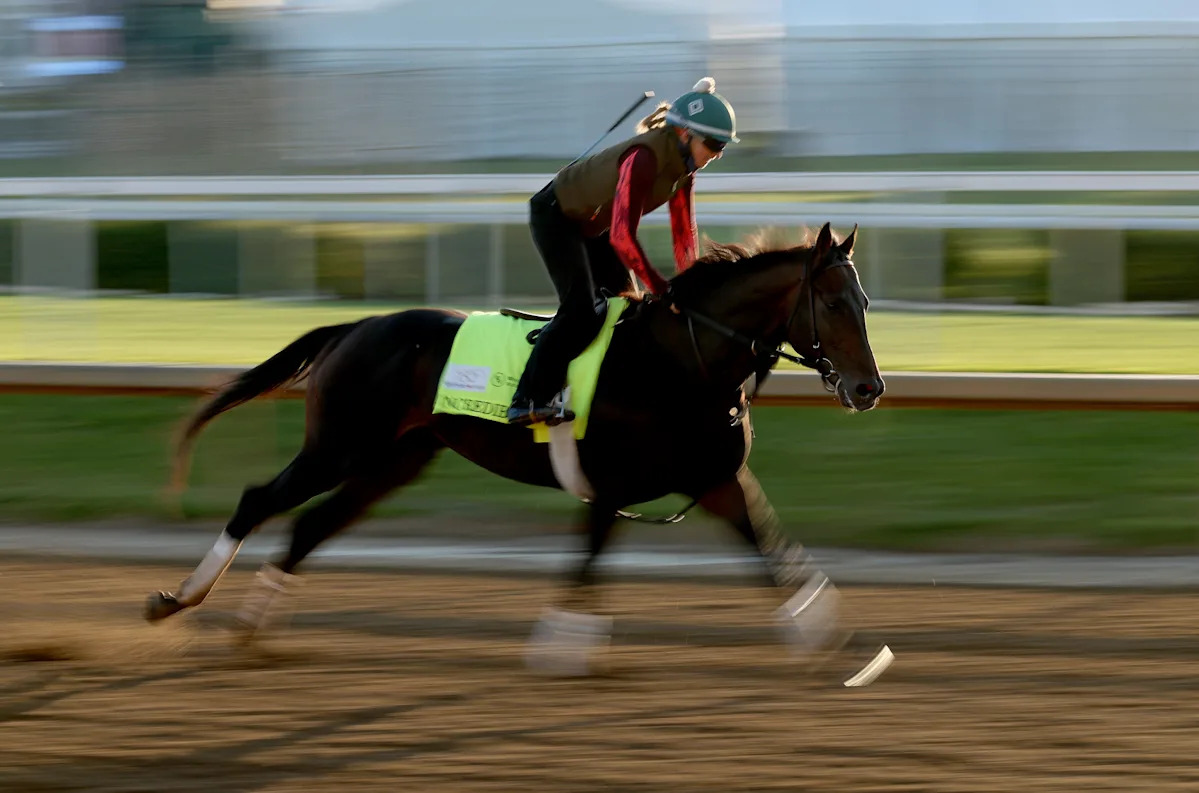 2026 Preakness Stakes: cómo mirar, caballos, probabilidades, tiempo de lanzamiento, dónde transmitir y más