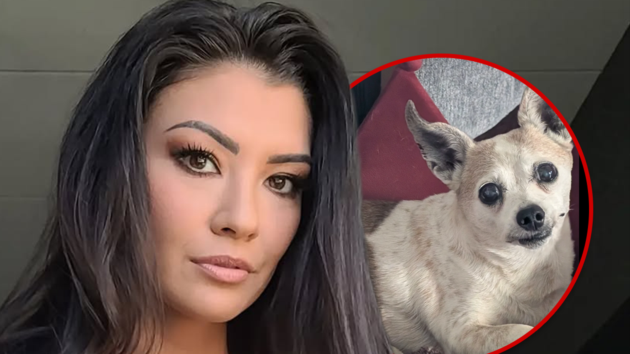 Muere Averey Tressler, el perro de la estrella de Portland