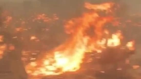 fire_1782566752326_1782566761886_ab762e17-4d06-4ca3-a692-6887c1b985f0.jpg