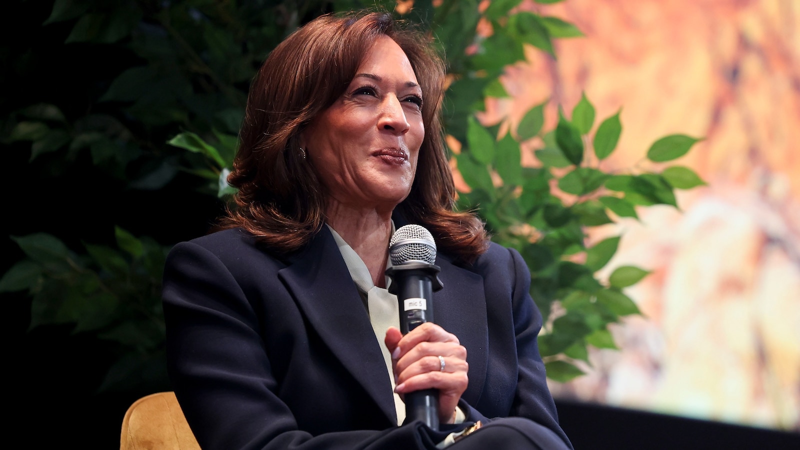Kamala Harris contempla un posible regreso en 2028, pero algunos antiguos aliados recurren a caras ‘nuevas’