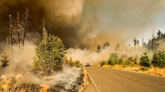 Condado de Hernando: El incendio de Shoal Line en Weeki Wachee se propaga rápidamente; Consultar mapa, detalles de evacuación, vídeos.