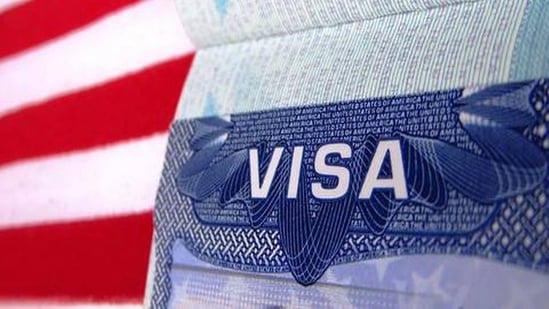 El ‘abuso’ de H-1B impide el surgimiento del ‘próximo Elon’ Musk: experto recomienda reformas para atraer talento global en medio de medidas enérgicas contra las visas