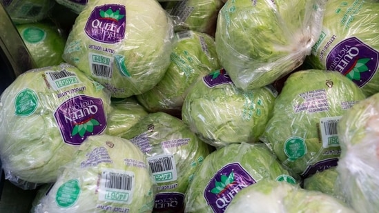 A medida que las enfermedades de Cyclospora aumentan a casos récord, los funcionarios de Michigan consideran la lechuga como una posible causa