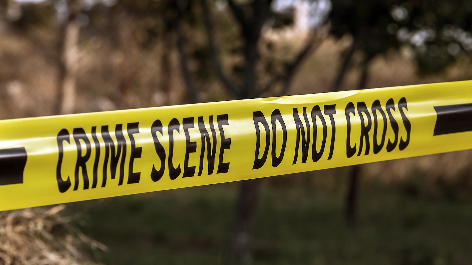 migrant-shooting-1-as-dp-240822_1724337089530_hpMain_16x9.jpeg