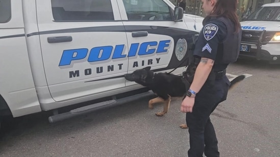 ¿Qué está pasando en Mount Airy? Informes de tiroteos masivos cerca de Welcome Baptist Church Road en el condado de Surry; primeros detalles