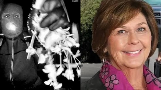 ¿Está vinculado el asunto Nancy Guthrie con Walmart? Un ex agente del FBI dice que el libro de Savannah que menciona los ‘juegos de secuestro’ también se vende allí