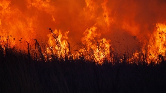 Incendio forestal en Salt Lake City: mapas y actualizaciones de evacuación mientras videos muestran el incendio de Bonneville ardiendo cerca del Hospital de la Universidad de Utah