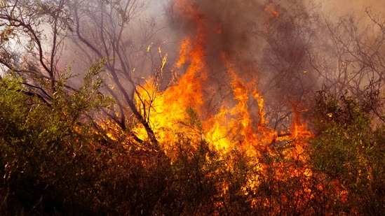 Mapa de incendios de Chelan Hills: Incendios masivos ardiendo en el condado de Douglas, WA; ver áreas afectadas, órdenes de evacuación, videos