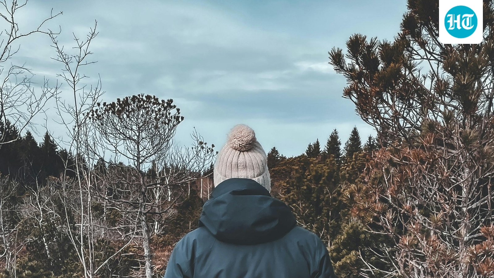 Florida vivirá el clima más frío de la temporada con el frente ártico en camino: lo que necesita saber