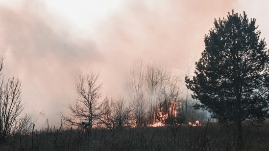 Los incendios de Kansas y Oklahoma se propagan y el humo cubre Wichita: mapas, actualizaciones de evacuación y videos