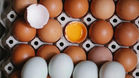 La FDA retira del mercado 1,6 millones de huevos de los servicios avícolas del Medio Oeste debido al riesgo de salmonela: consulte las marcas y los estados afectados