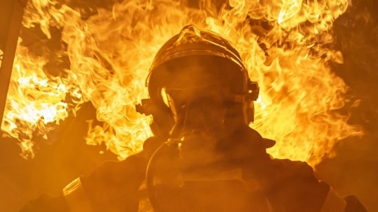 phoenix_fire_1774211968209_1774211968325.jpg