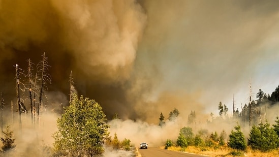 Mapa de Utah Iron Fire, actualizaciones de evacuación: incendio cerca de Eureka quema acres; humo visible en los condados de Juab y Tooele