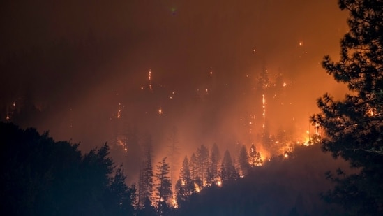 Patterson, CA Actualización sobre incendios: El incendio de Zacharias en Rogers Road genera preocupación; primeros detalles