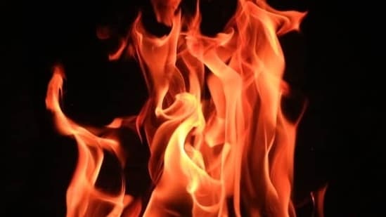 Actualización de Summit Fire: Un incendio forestal en Los Ángeles quema más de 2,600 acres mientras continúan las evacuaciones, se emite un aviso: ‘Si la gente siente…’