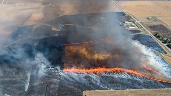 ¿Qué es una advertencia de incendio con bandera roja? ¿Cuáles son las áreas afectadas hoy? Lista completa de estados aquí