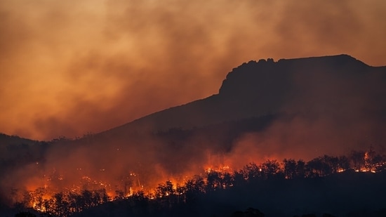 Humo sobre Tri-Cities: ¿Qué arde cerca de Kennewick, Pasco y Richland?