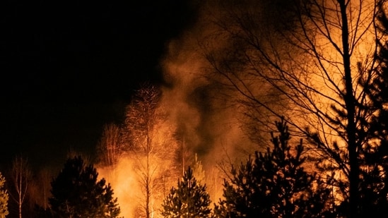 Actualización sobre el incendio de Pine Tree: Los incendios forestales crecen después del accidente de un avión militar cerca del lago Rimrock; El piloto se eyecta de forma segura.