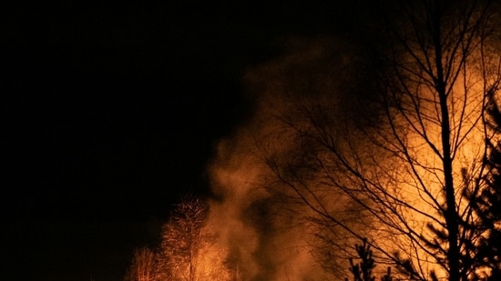 Actualización sobre el incendio de Antioch Deer: incendio forestal masivo en California; Surgen imágenes aterradoras – ver
