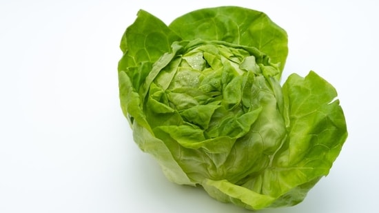 Brote de Cyclospora: ¿es la lechuga la causa de más de 3.000 casos de diarrea en Michigan y Ohio? lo que dicen los funcionarios
