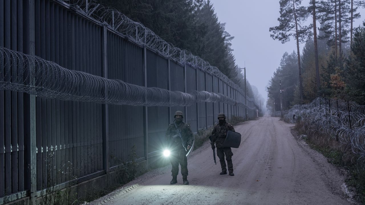 Migrantes en el bosque milenario