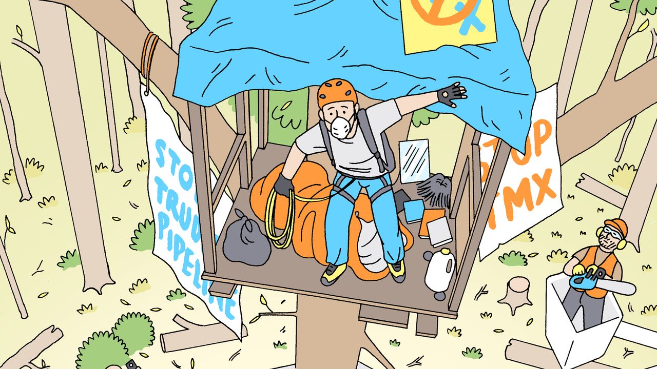 La casa del árbol y el oleoducto