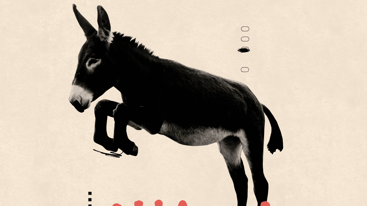 ¿Podrán los demócratas superar esto?