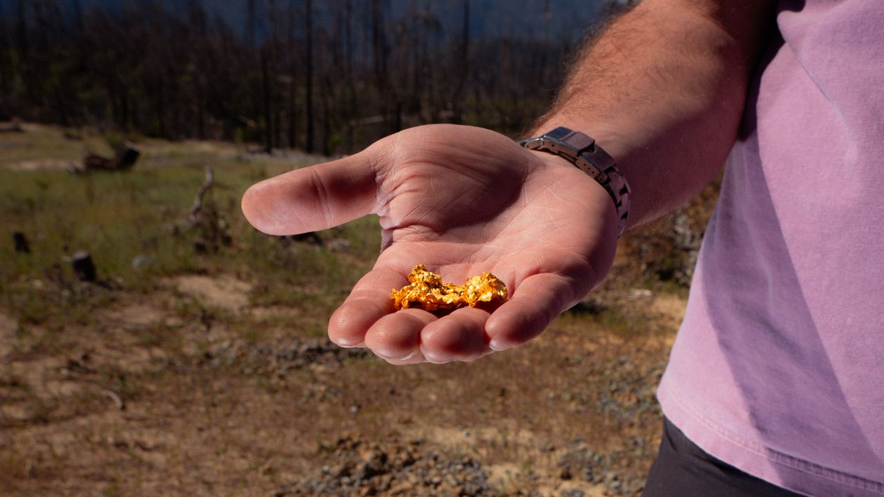 Cómo los estadounidenses volvieron a contraer la fiebre del oro