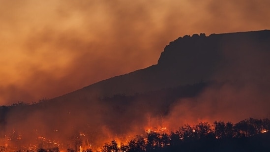 Incendio Ramona: Evacuaciones alrededor de Creelman Lane mientras el incendio forestal se propaga rápidamente; consultar mapa, vídeos