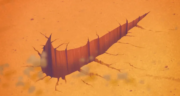 Caída de ofertas de Nike del Black Friday: grandes ahorros en zapatillas para correr y ropa para fanáticos