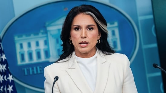 Verificación de hechos: ¿Donald Trump despedirá a Tulsi Gabbard después de Pam Bondi? aqui esta la verdad