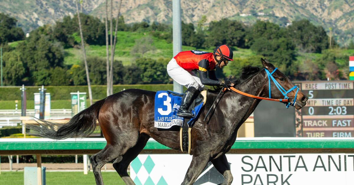 urlhttps3A2F2Fcalifornia-times-brightspot.s3.amazonaws.com2F312F2d2F3596ca394d68a3dc15c41c8c8f692Fsanta-anita-horse-racing-10866.jpg