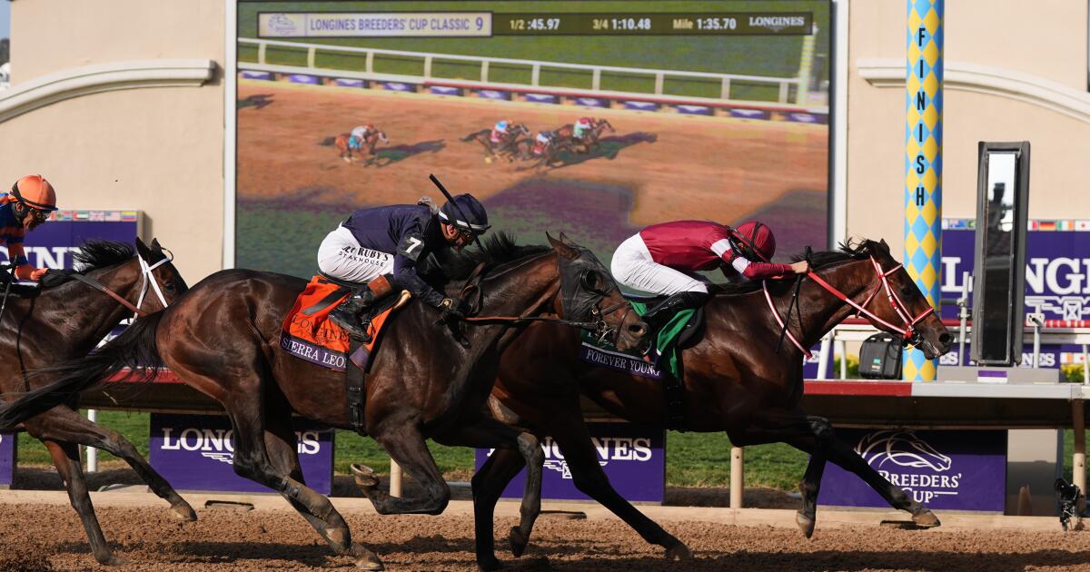 urlhttps3A2F2Fcalifornia-times-brightspot.s3.amazonaws.com2F5f2Fbc2F510b41134e1f874b1f154e9abf8d2Faptopix-breeders-cup-classic-horse-racing-87220.jpg