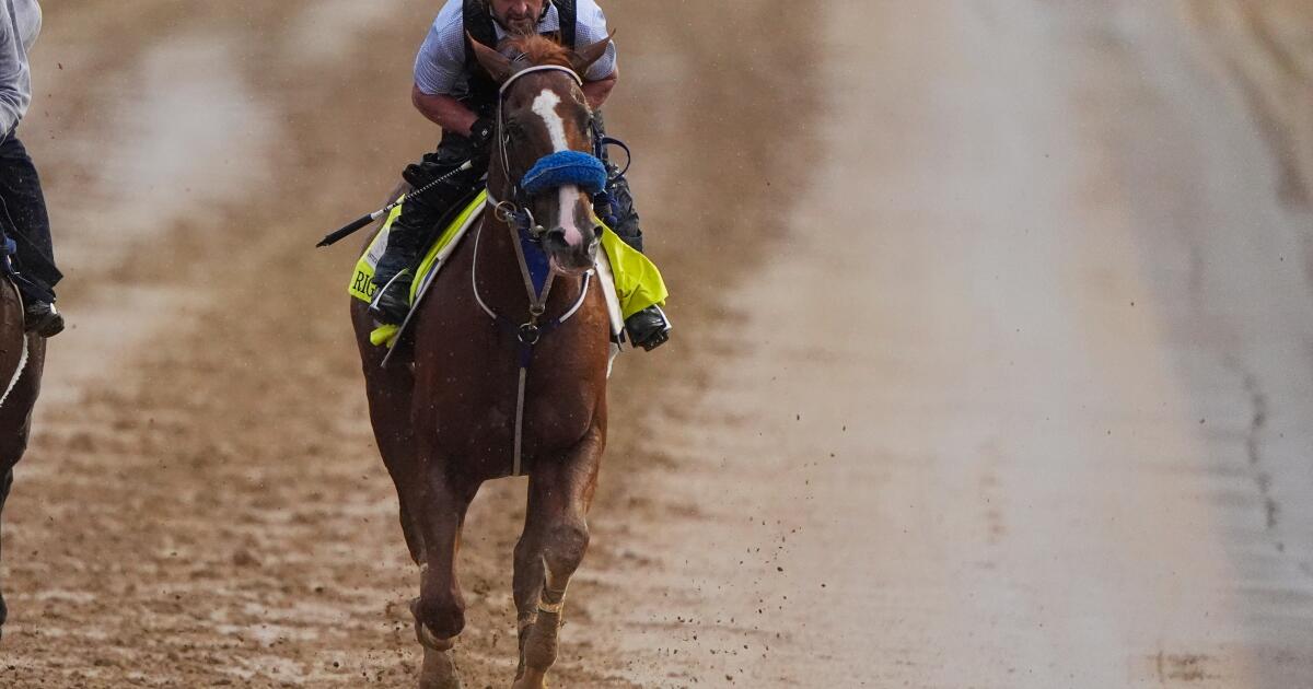 Right to Party se convierte en el tercer scratch del Kentucky Derby, añadió Robusta