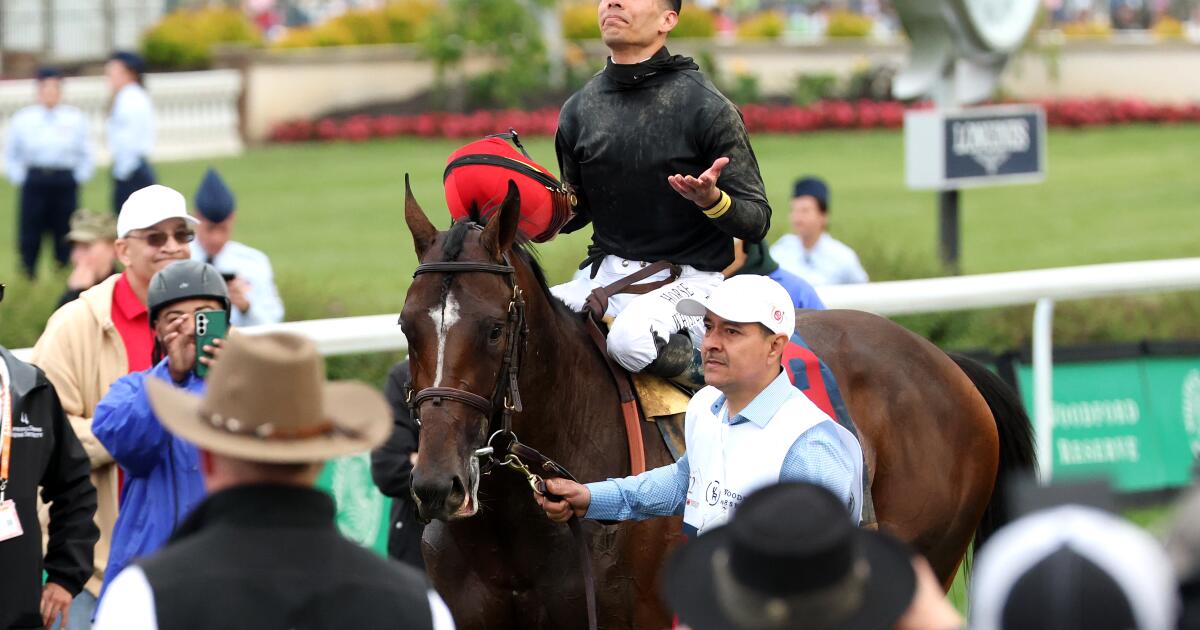 Lanzador de los Dodgers y jinetes de carreras de caballos asociados con peleas de gallos en Puerto Rico