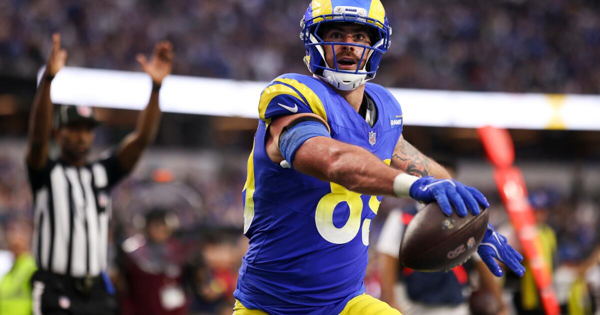 urlhttps3A2F2Fcalifornia-times-brightspot.s3.amazonaws.com2Fad2Fd02Fe9986e844512921751f191a09eed2Fcardinals-rams-football-01448.jpg