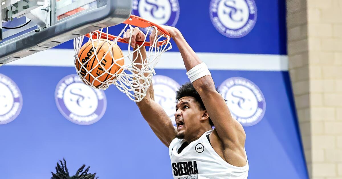 Jugador de baloncesto masculino del año: Maxi Adams de Sierra Canyon