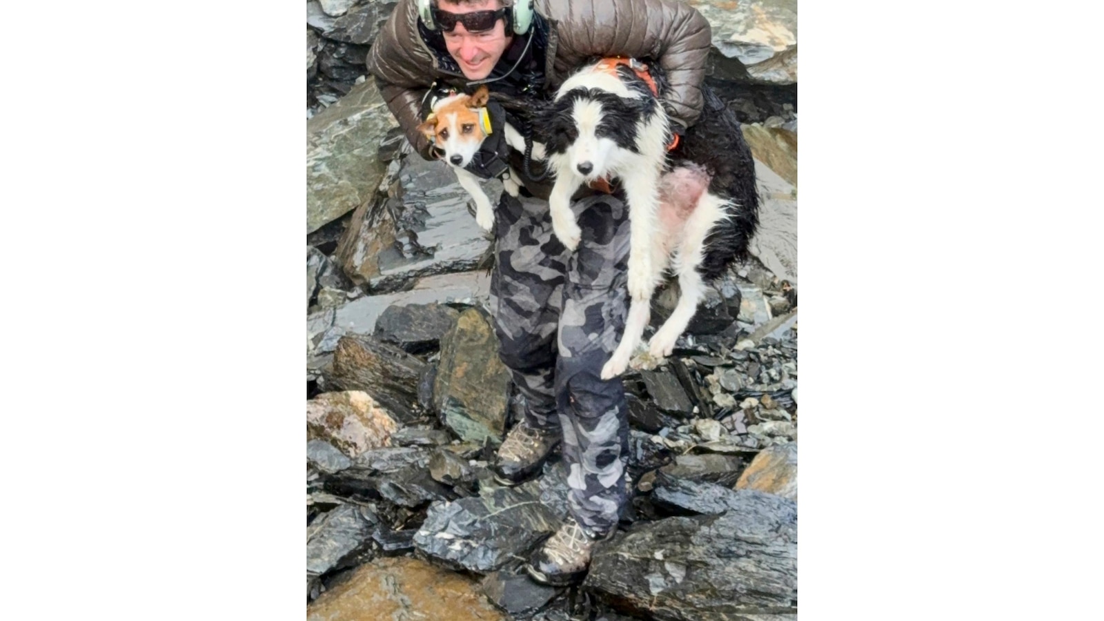 El perro de un excursionista perdido en el bosque es rescatado en helicóptero después de que extraños buscaran fondos
