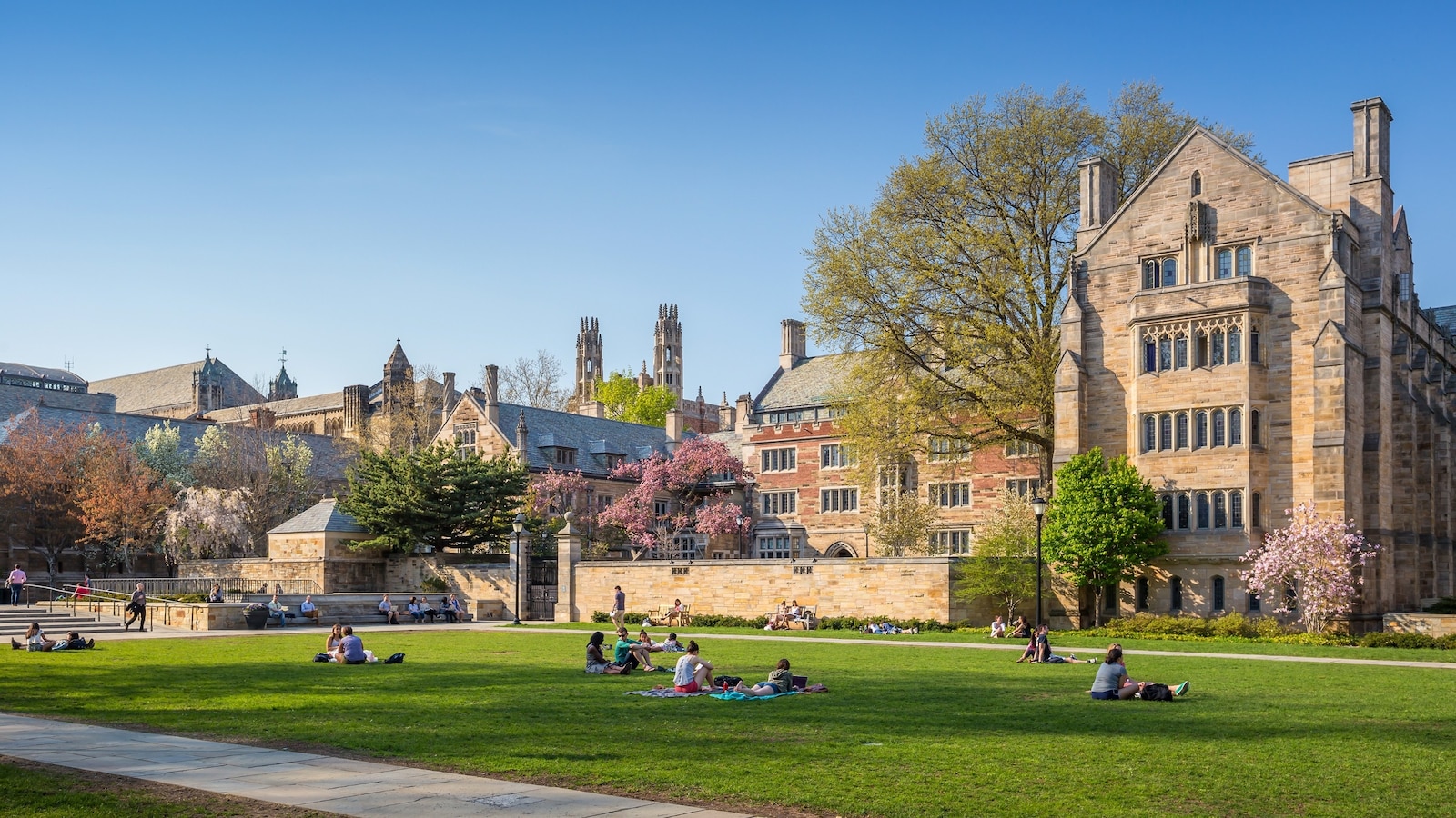 Yale enfrenta reacciones violentas por conversaciones con el Departamento de Justicia sobre admisiones